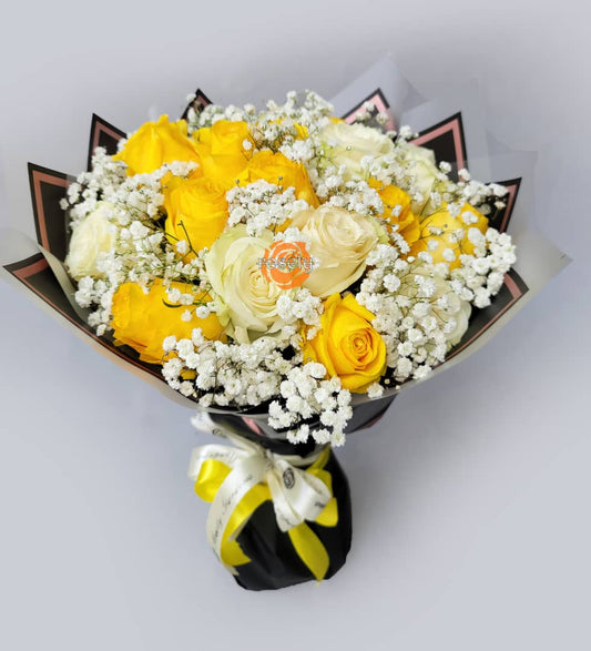 Double Dozen in the Sun